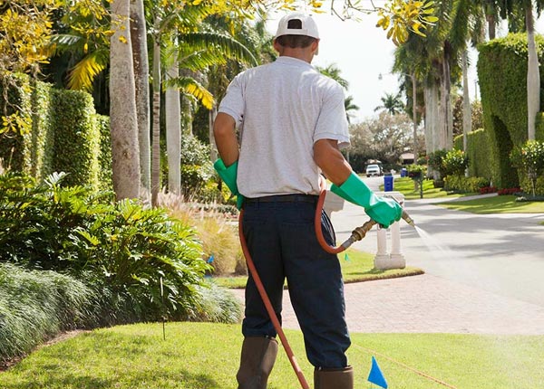About Buffalo Valley TN Pest Control Pros